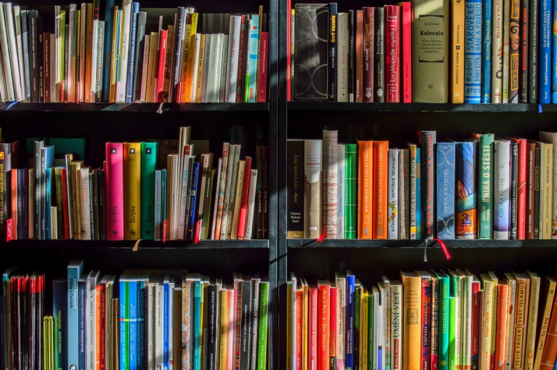 vitrine-MAZAUGUES-min_books_bookstore_book_reading_shop_writer_sale_books_read-822866