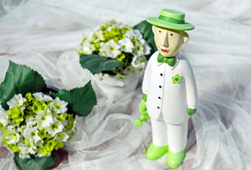 vitrine-MAZAUGUES-min_man-person-flower-green-toy-fig-546529-pxhere.com